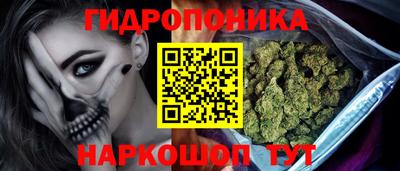 МДПВ Будённовск