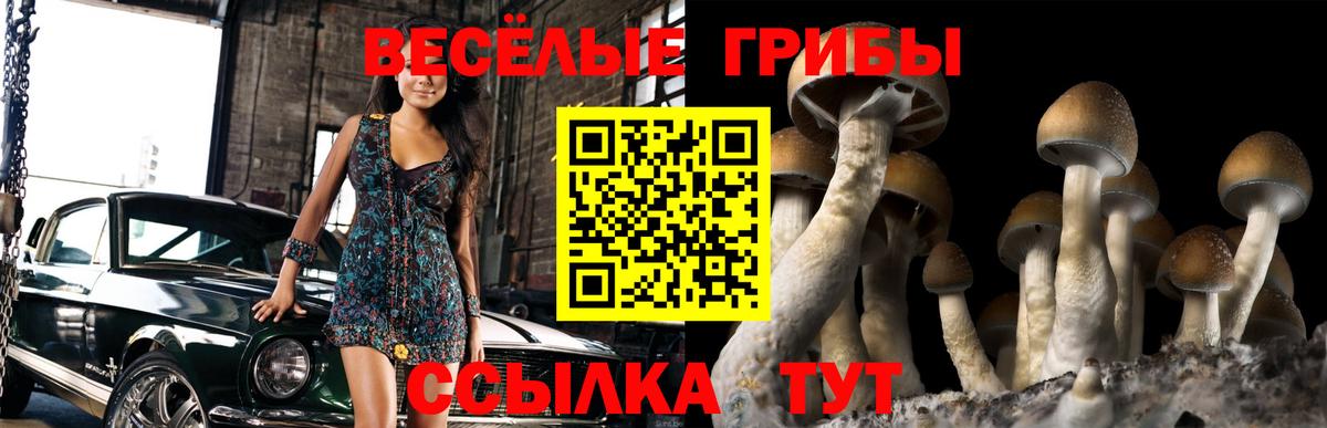 Галлюциногенные грибы мицелий  Галлюциногенные грибы Psilocybe  Переславль-Залесский  Вход с VPN 