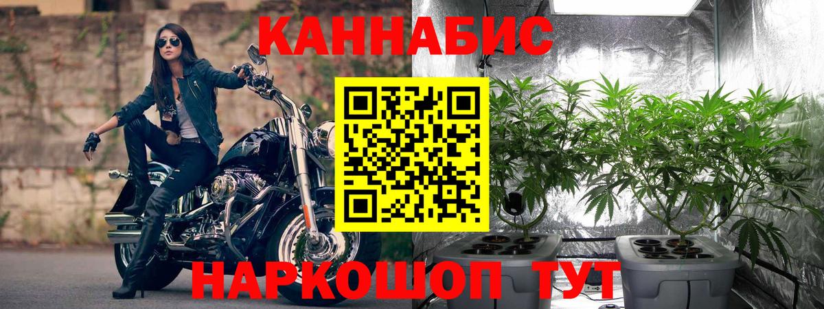 Каннабис семена  Вход с VPN  Бошки Шишки конопля  Канабис White Widow  Переславль-Залесский 